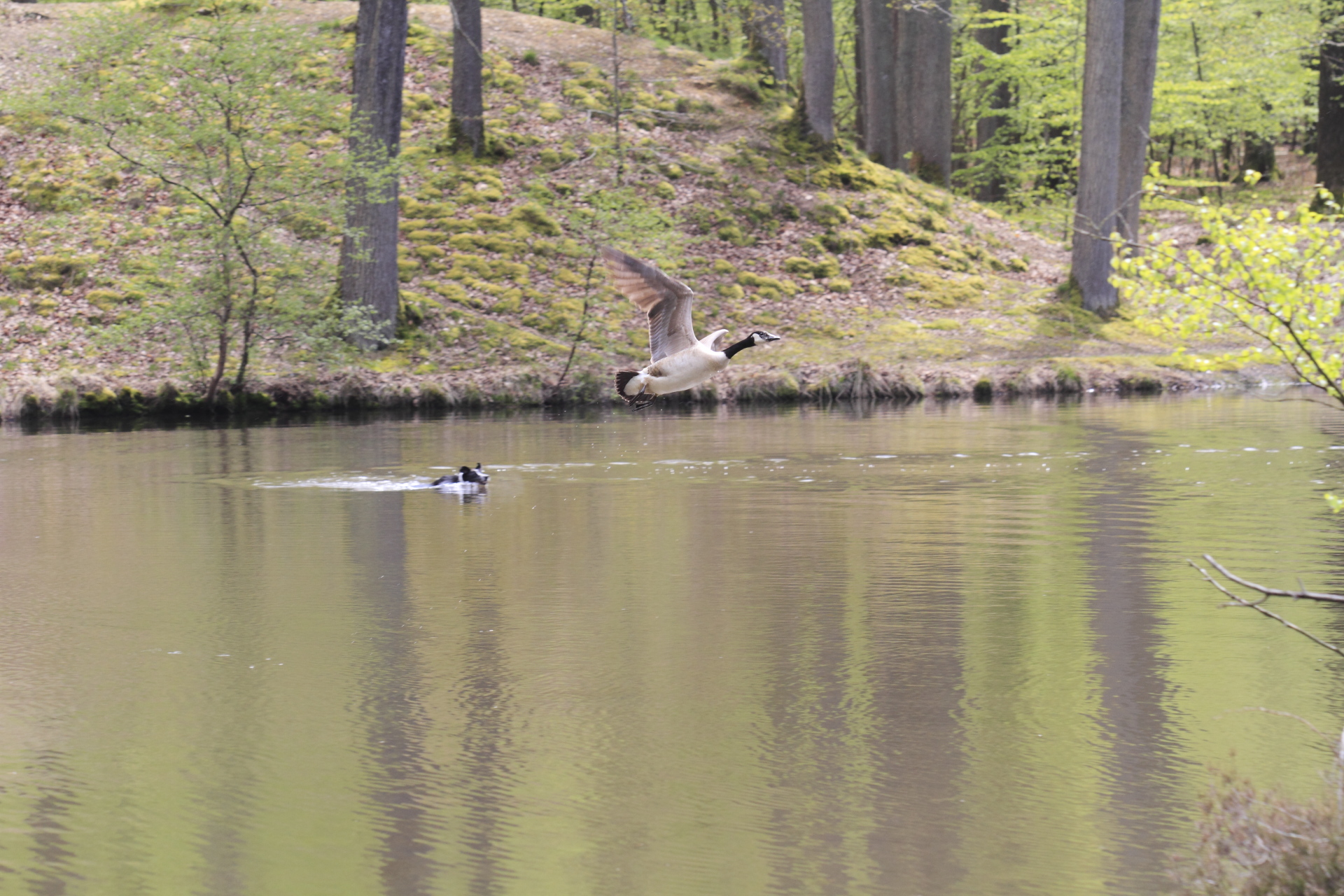 _MG_1023.JPG