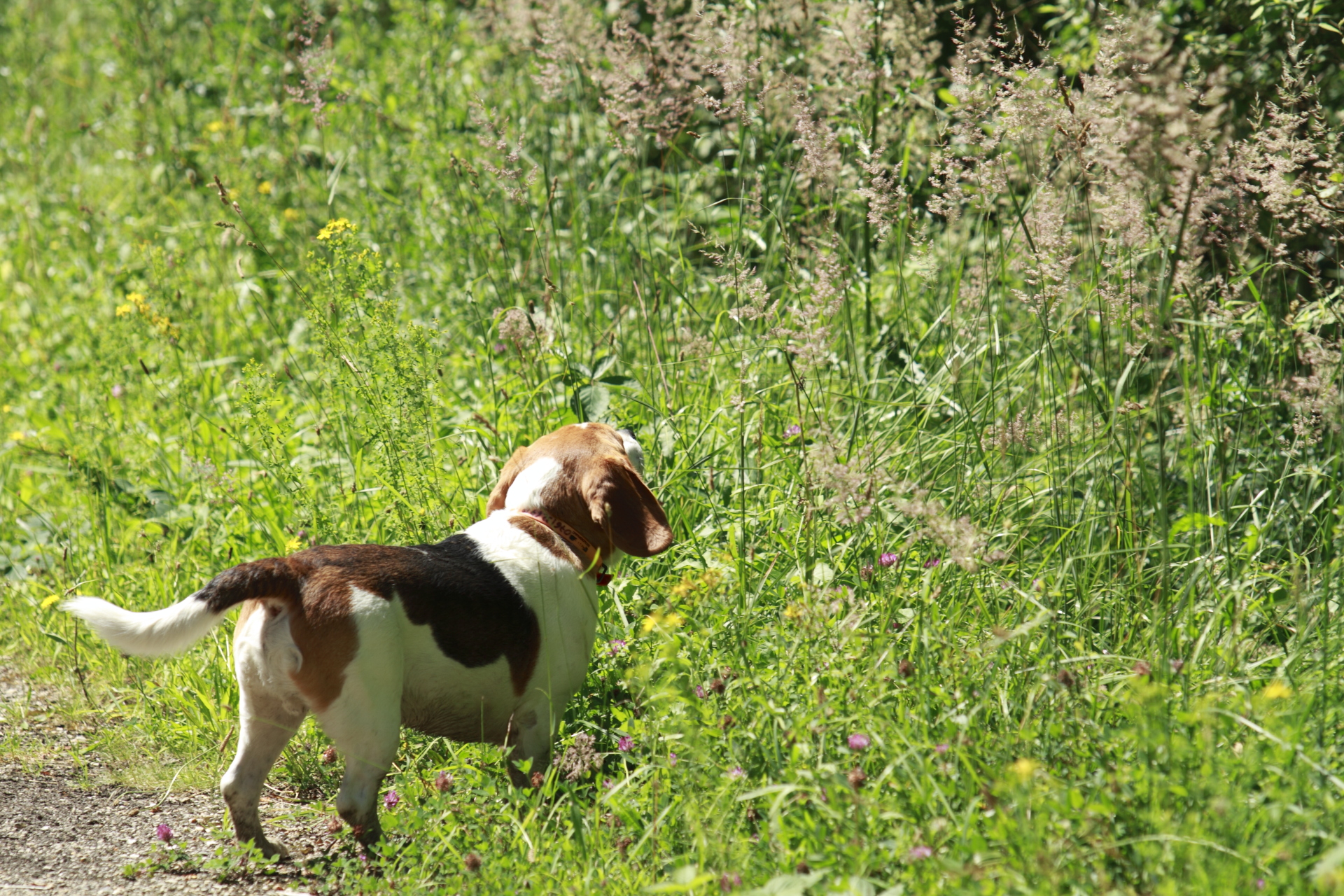 _MG_8317.JPG