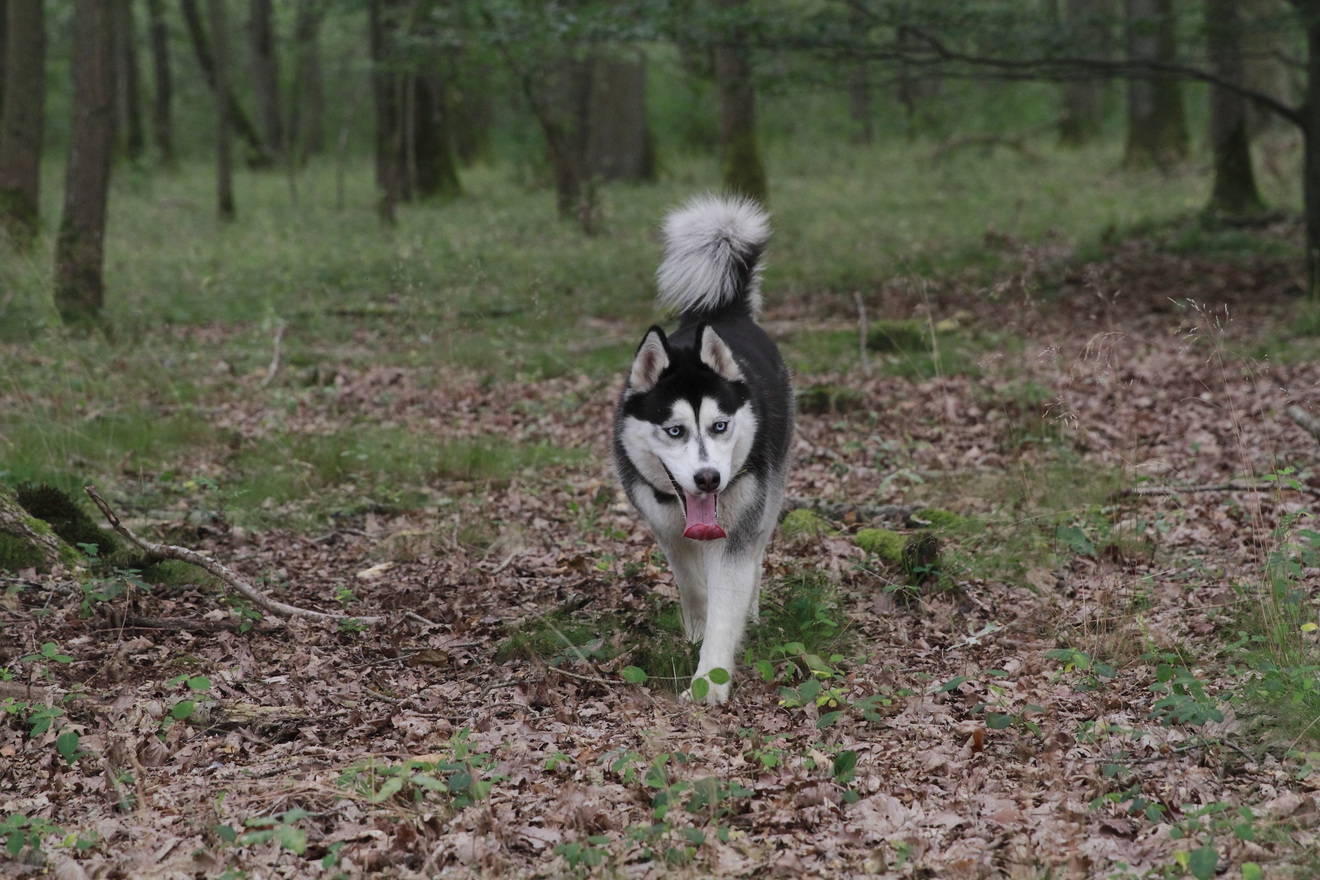 _MG_2316.JPG