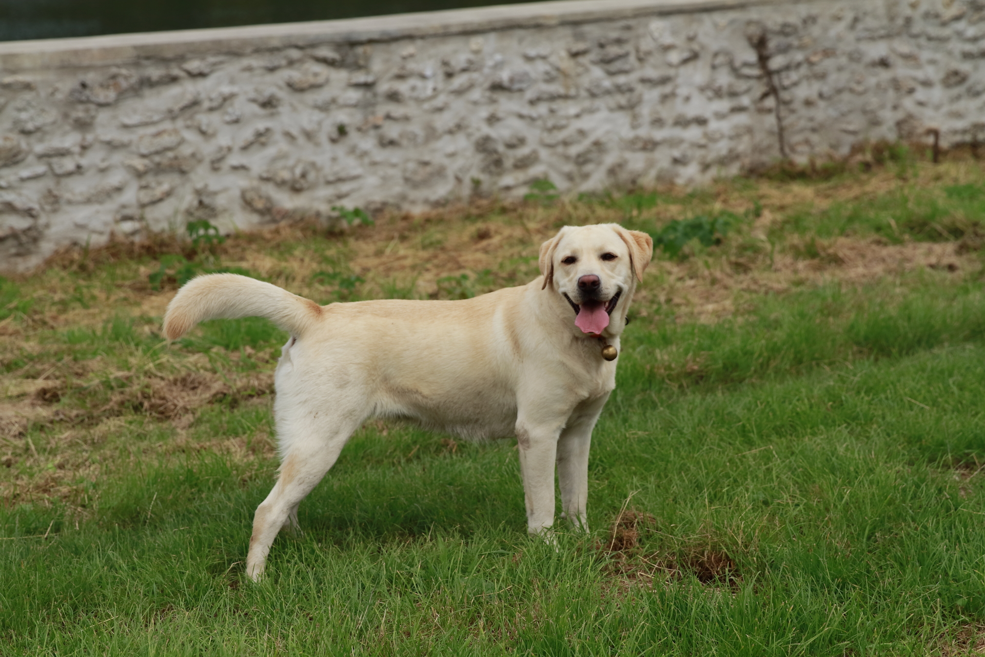 _MG_6104.JPG