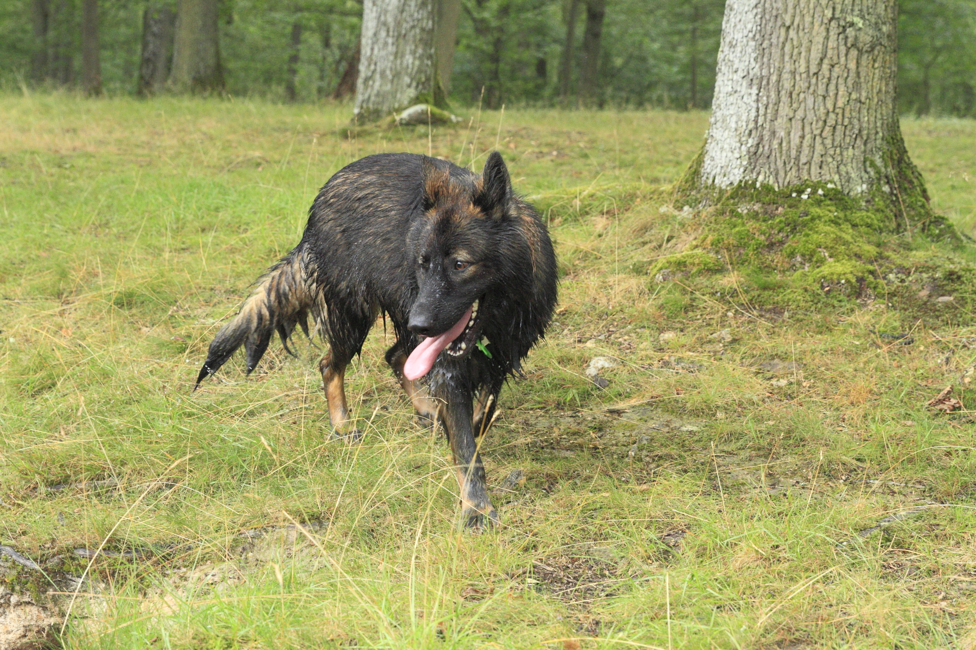 _MG_1513.JPG