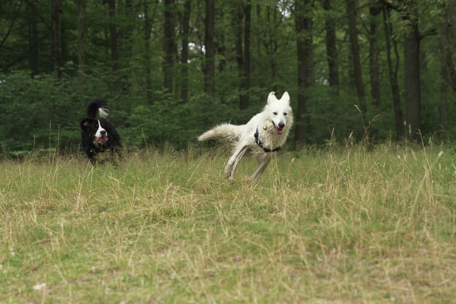 _MG_0416.JPG