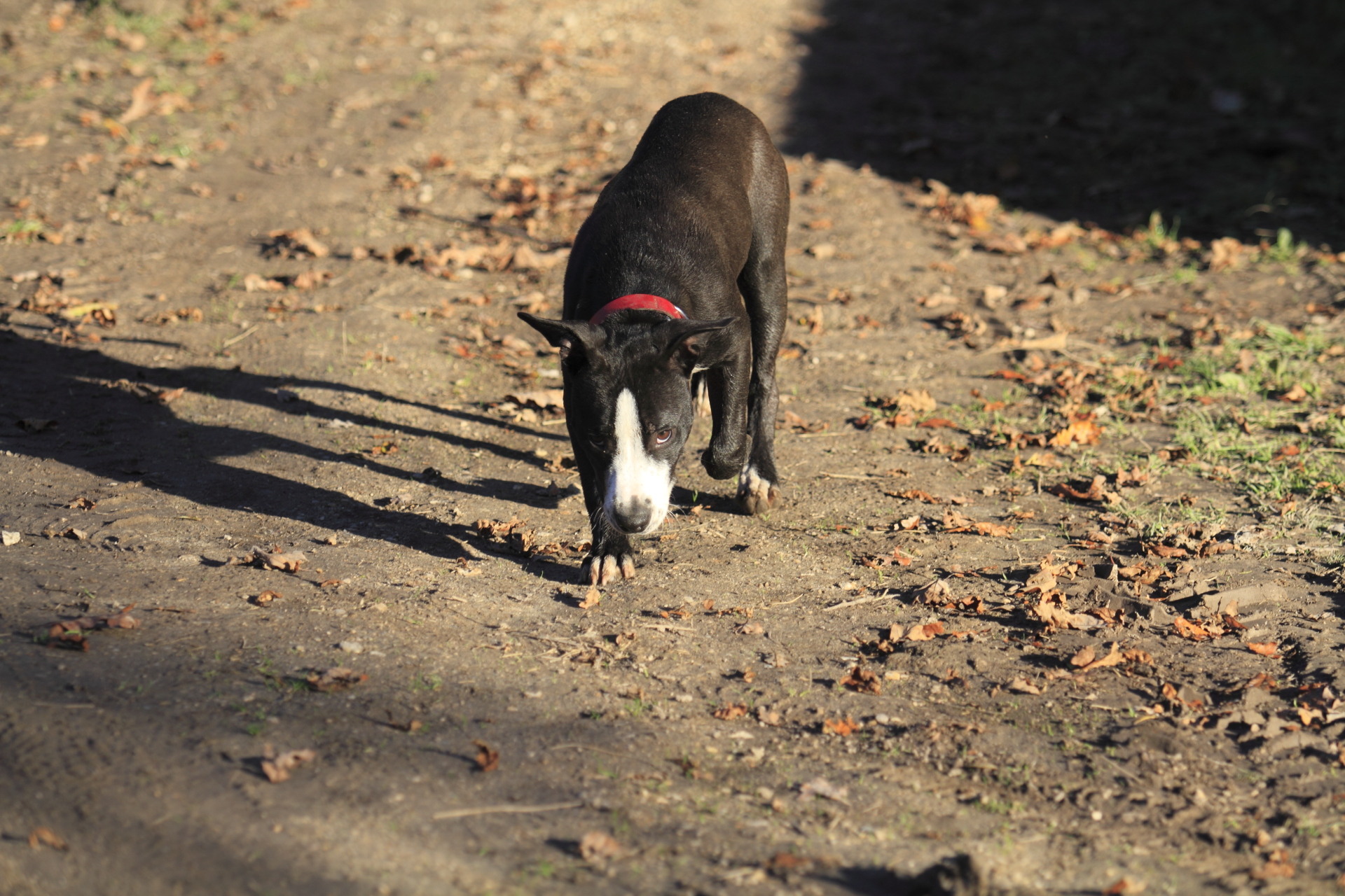 _MG_6871.JPG