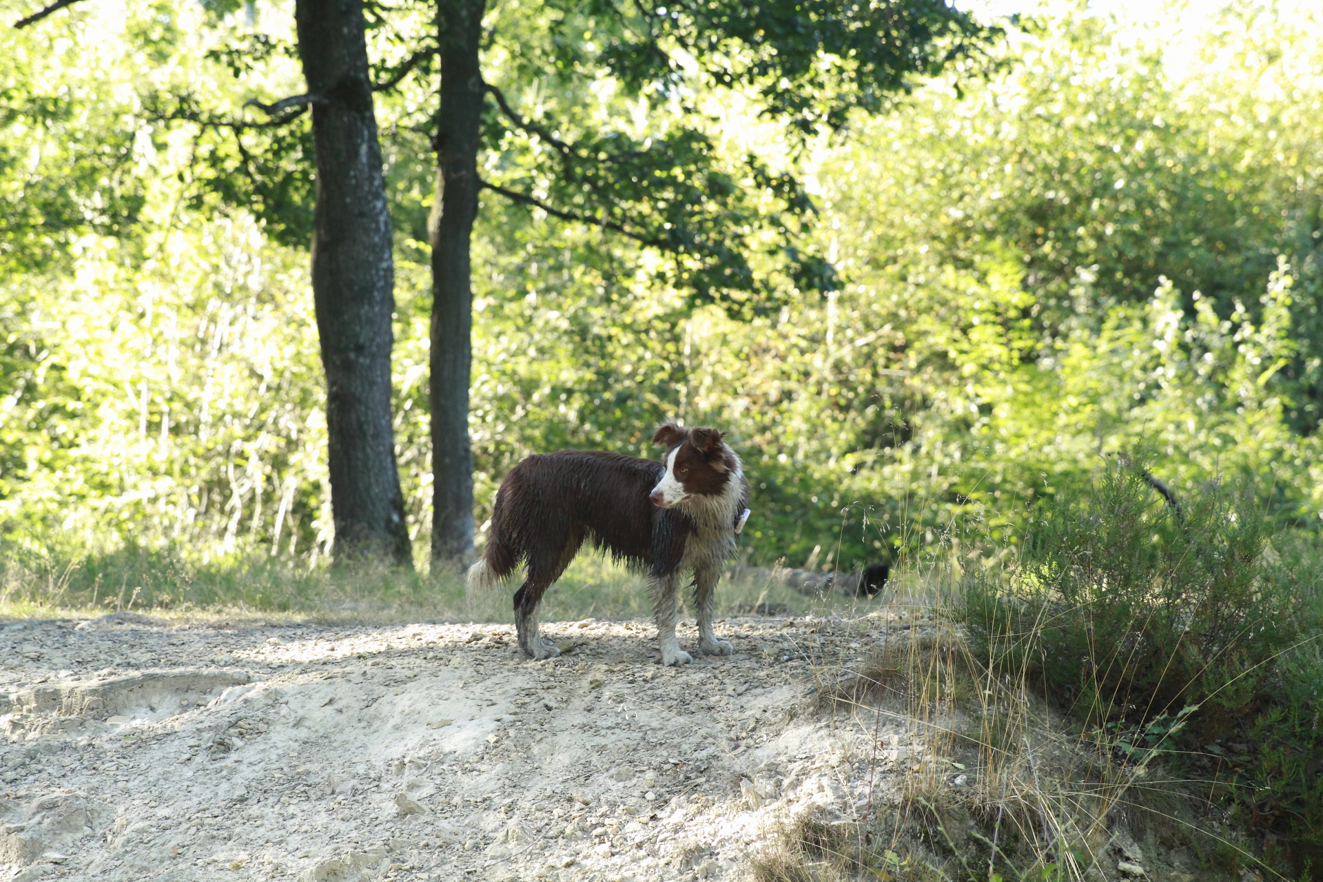 _MG_2071.JPG