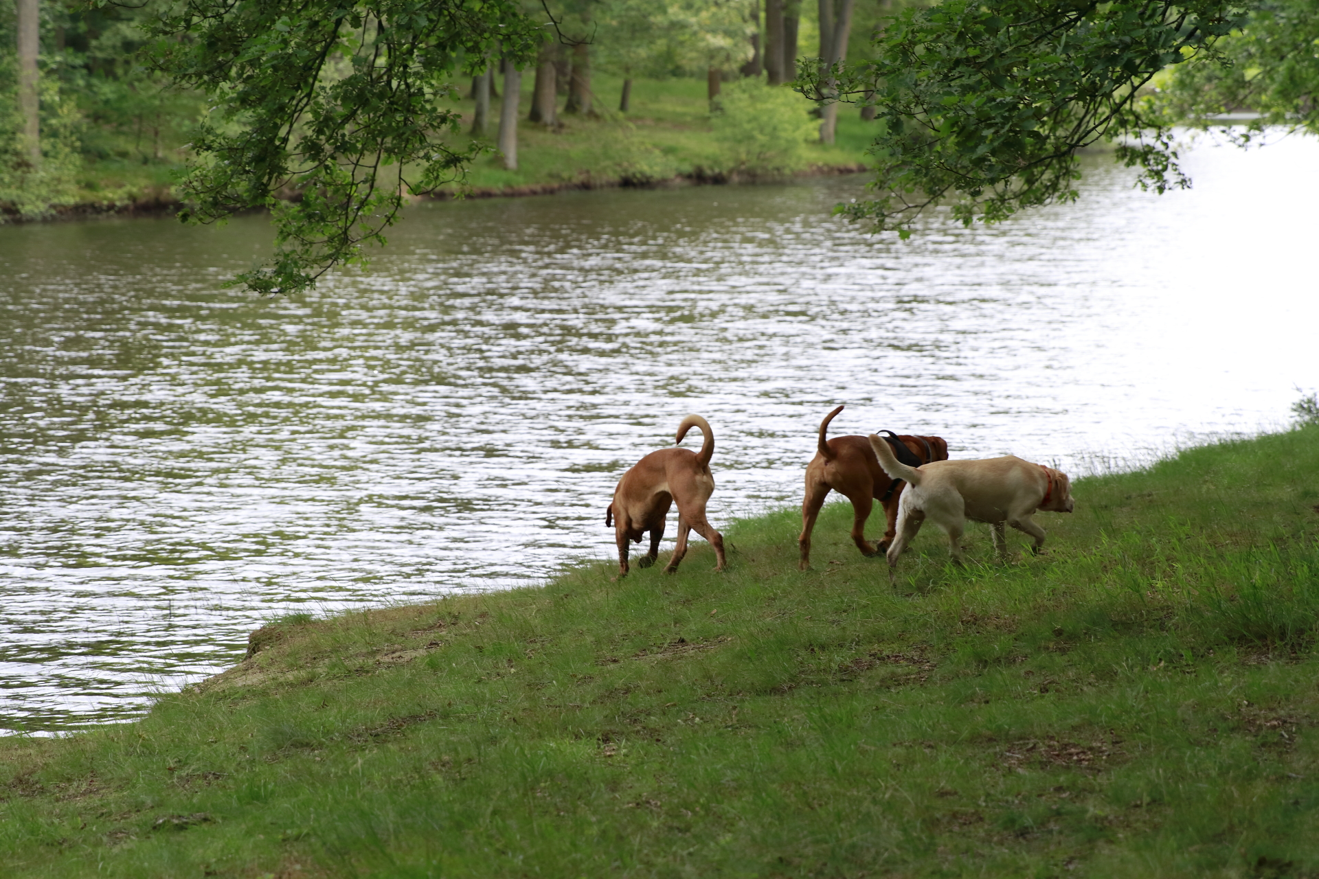 _MG_6352.JPG