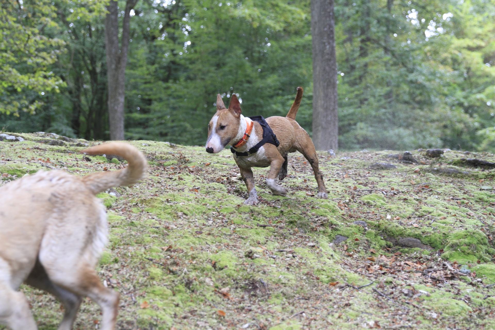 _MG_5500.JPG