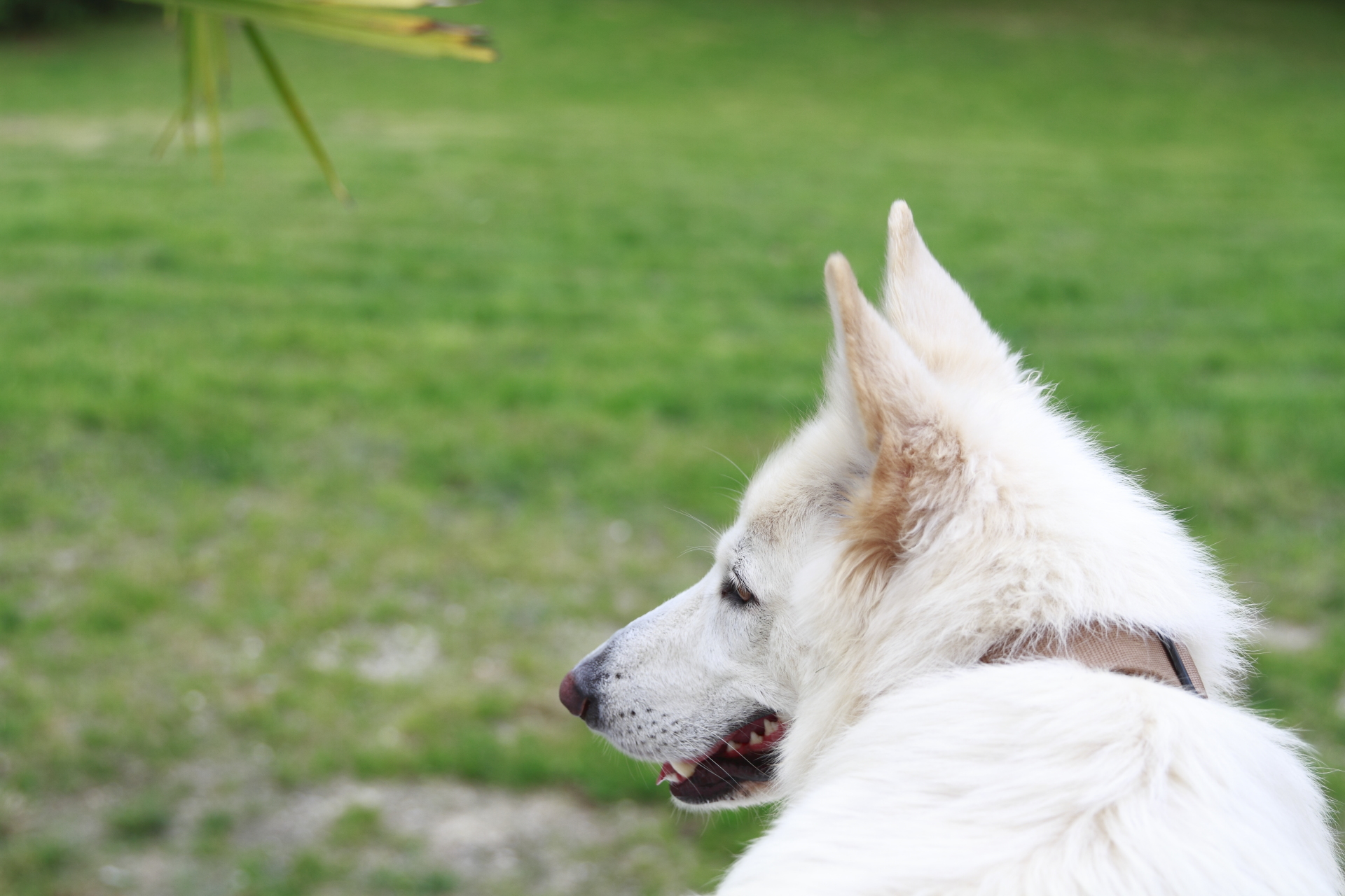 _MG_5554.JPG