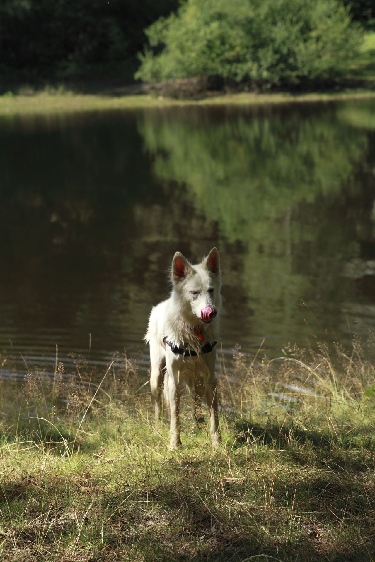 _MG_3070.JPG