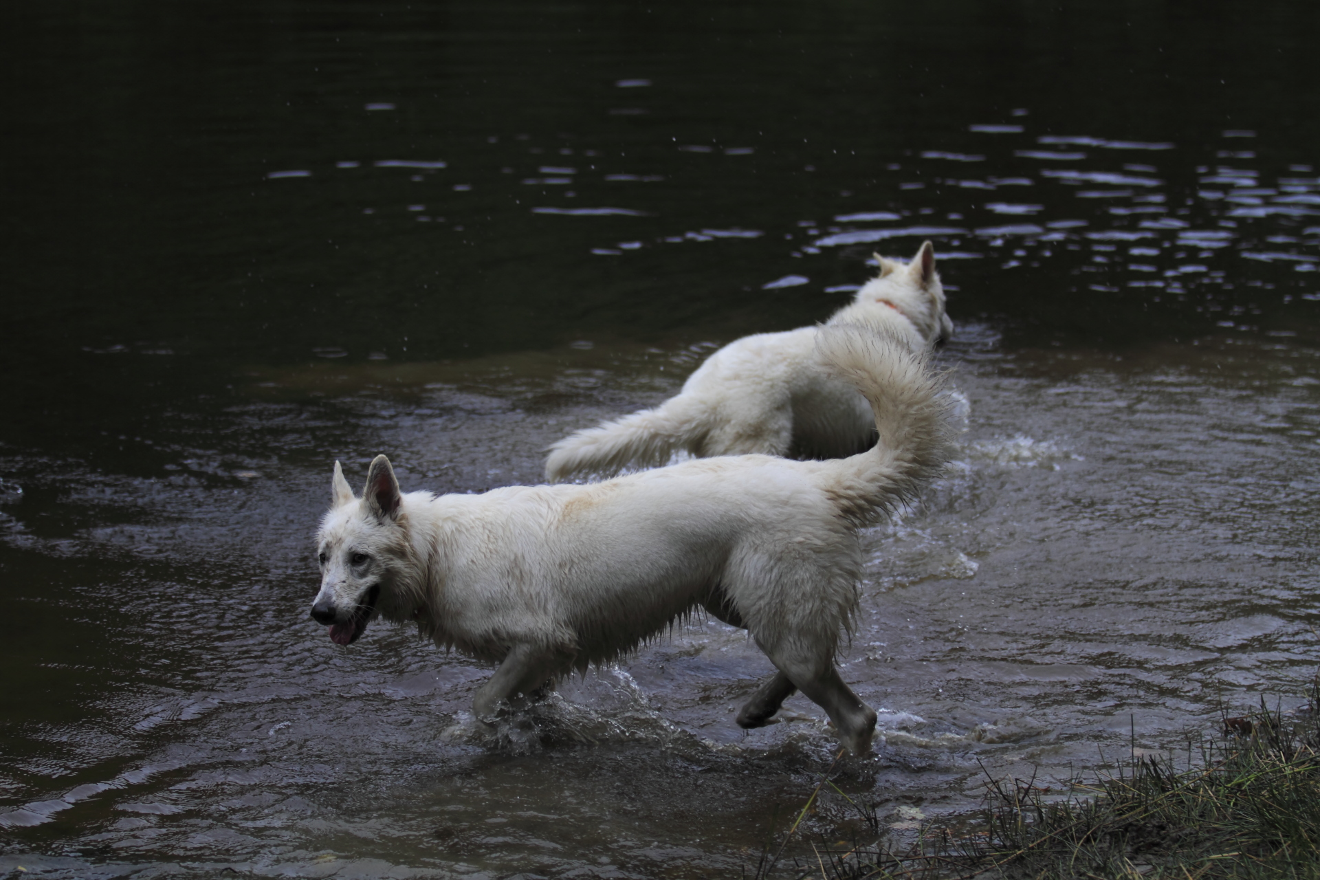_MG_6474.JPG