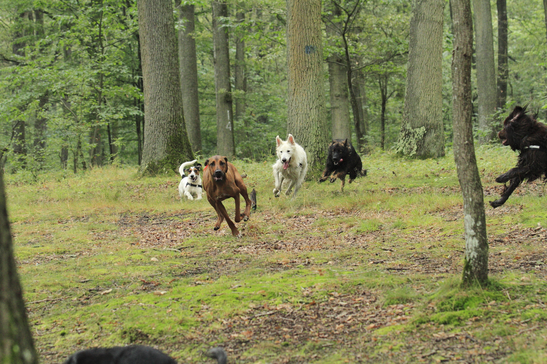 _MG_3627.JPG