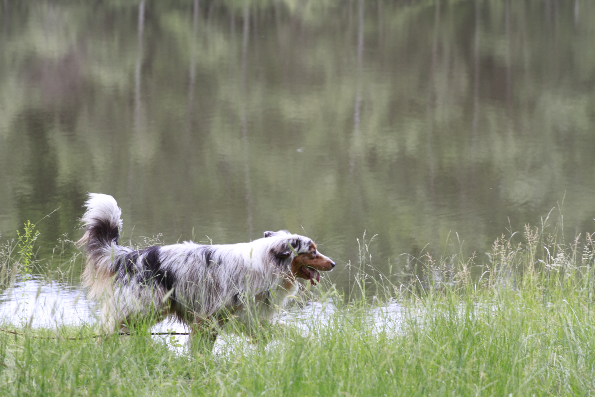 _MG_5264.JPG