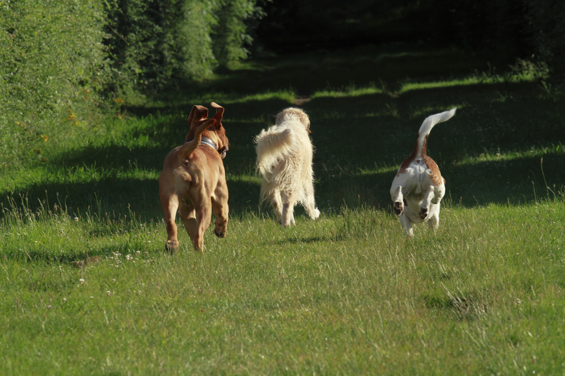 _MG_8098.JPG