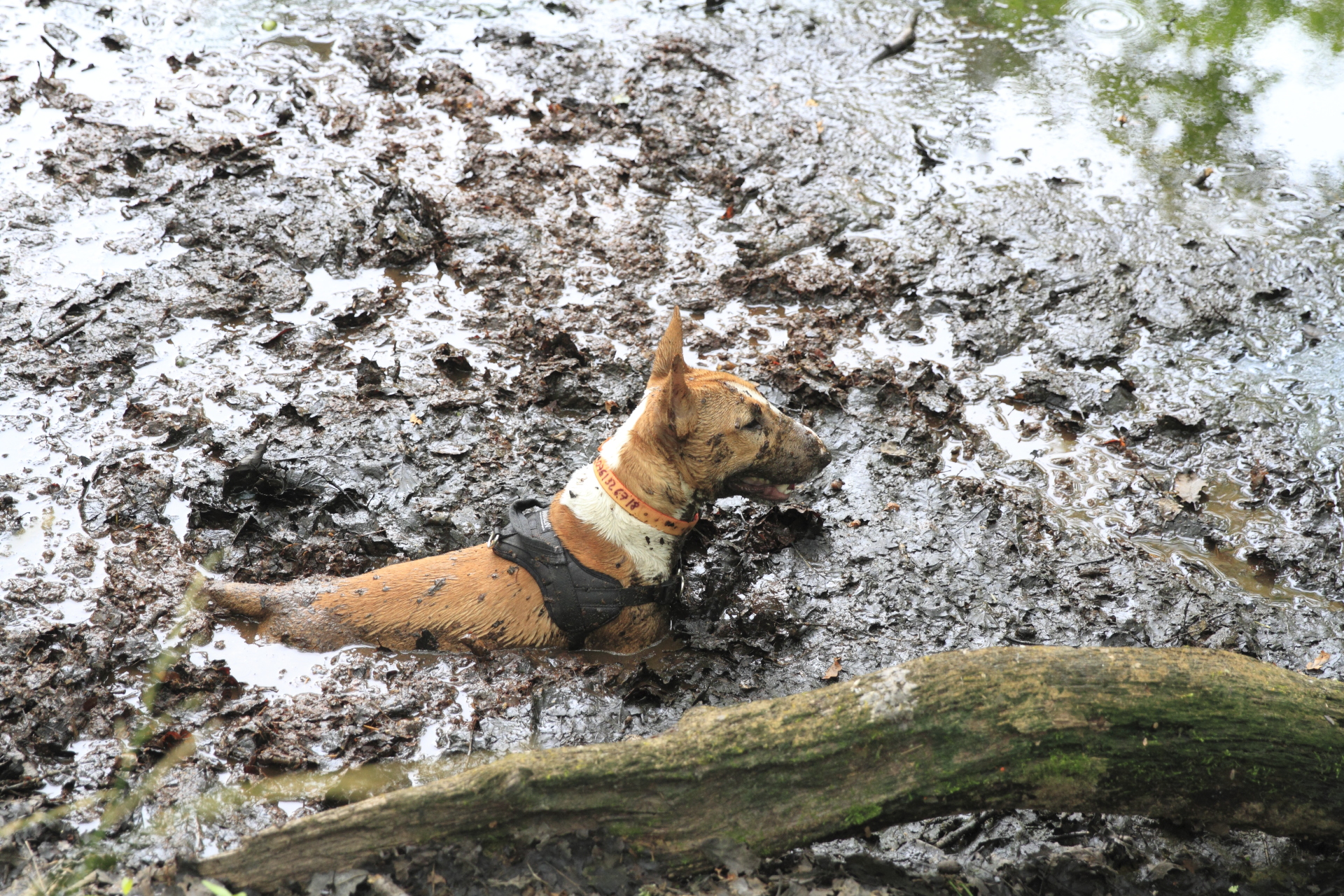 _MG_5505.JPG