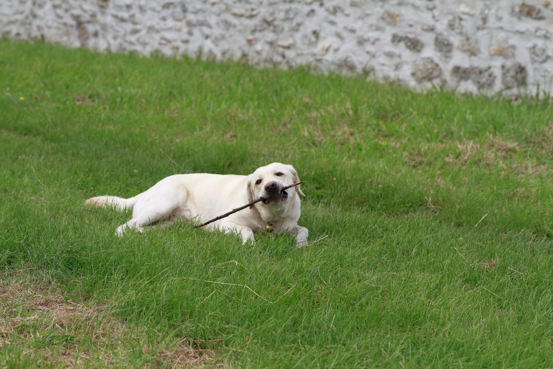 _MG_6133.JPG