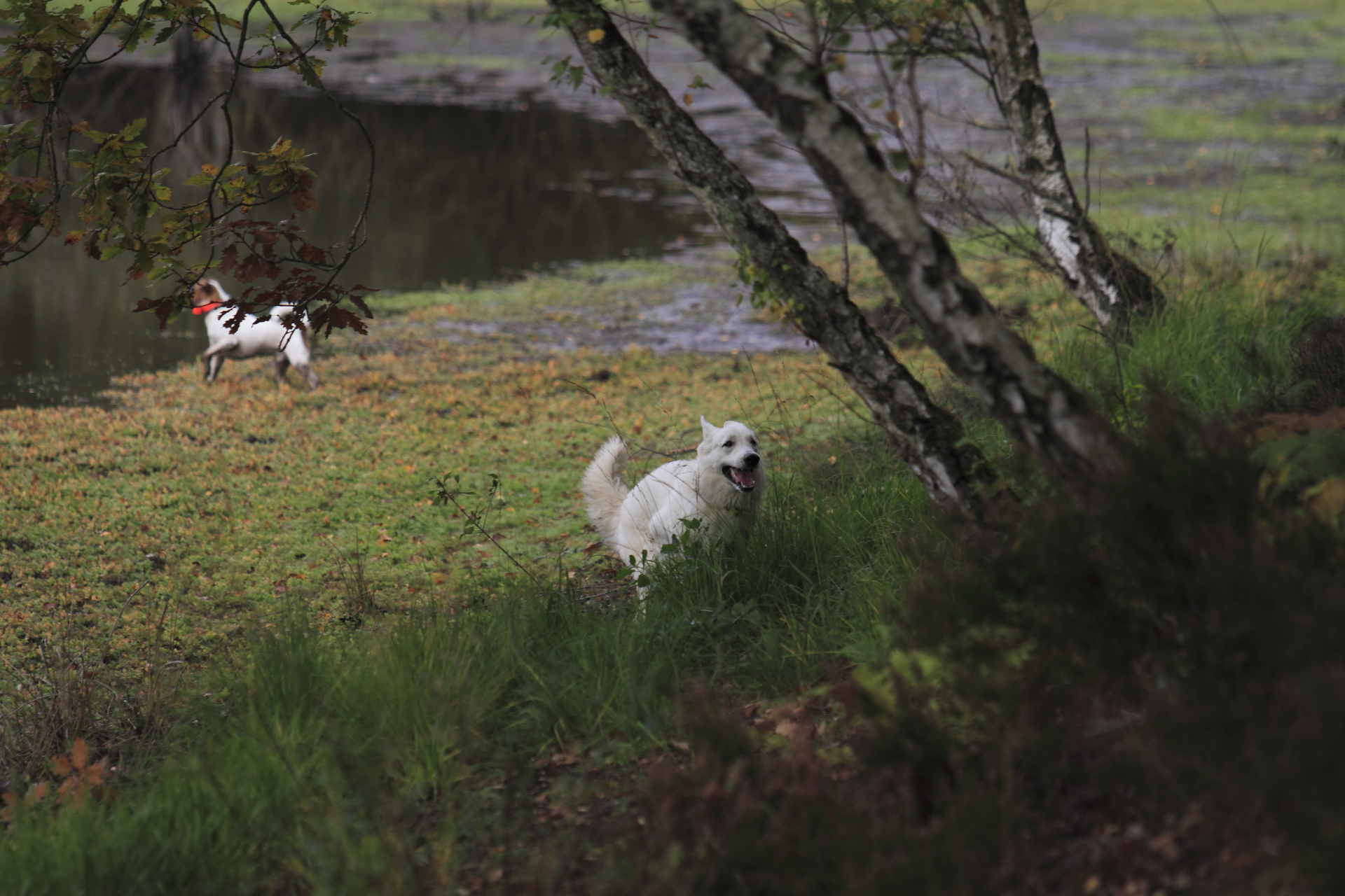 _MG_6348.JPG