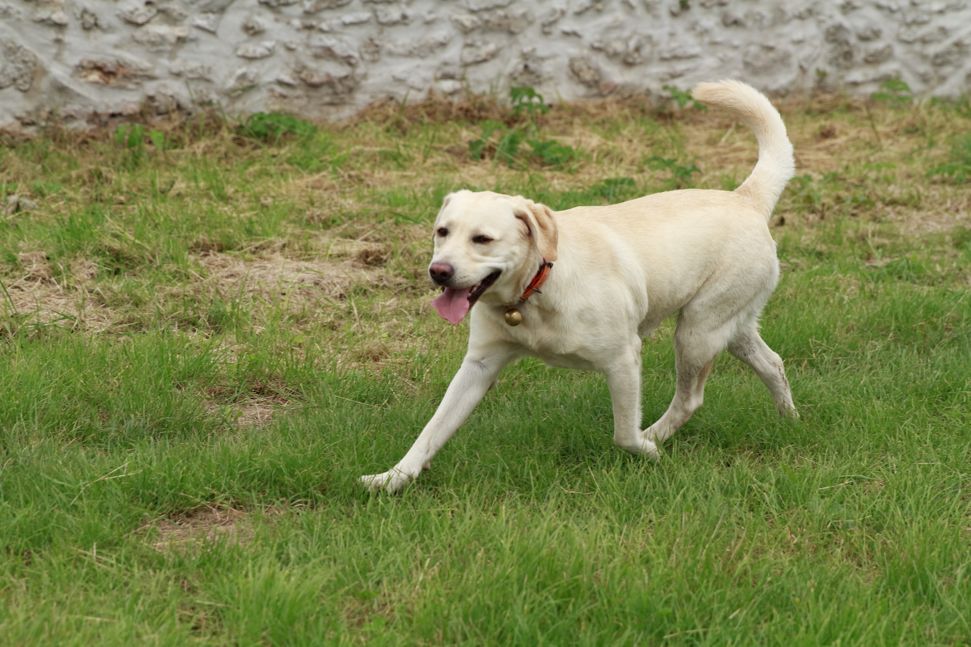 _MG_6090.JPG