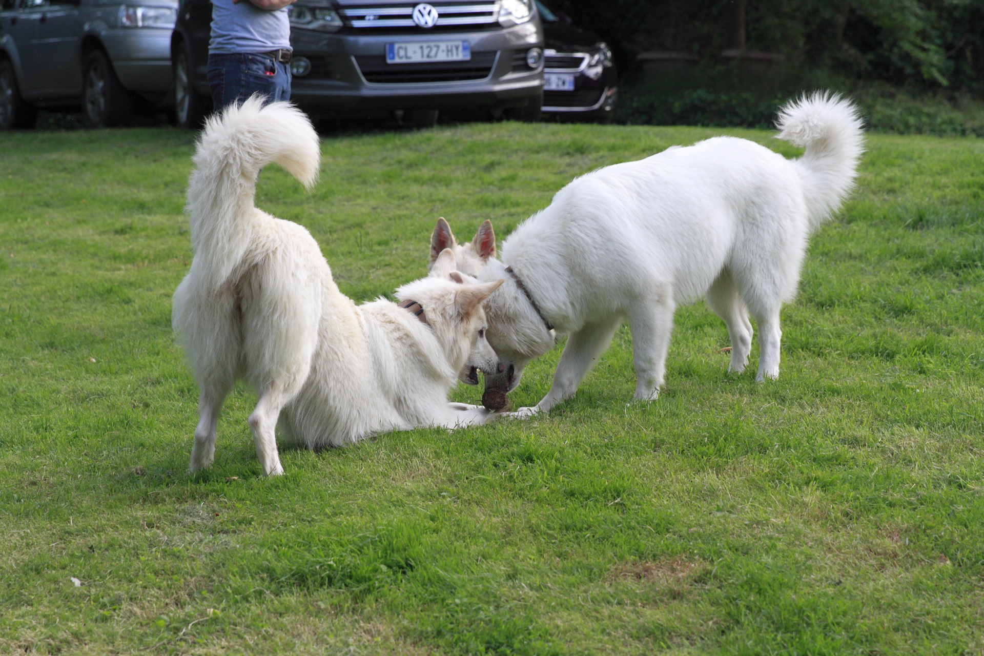 _MG_5607.JPG