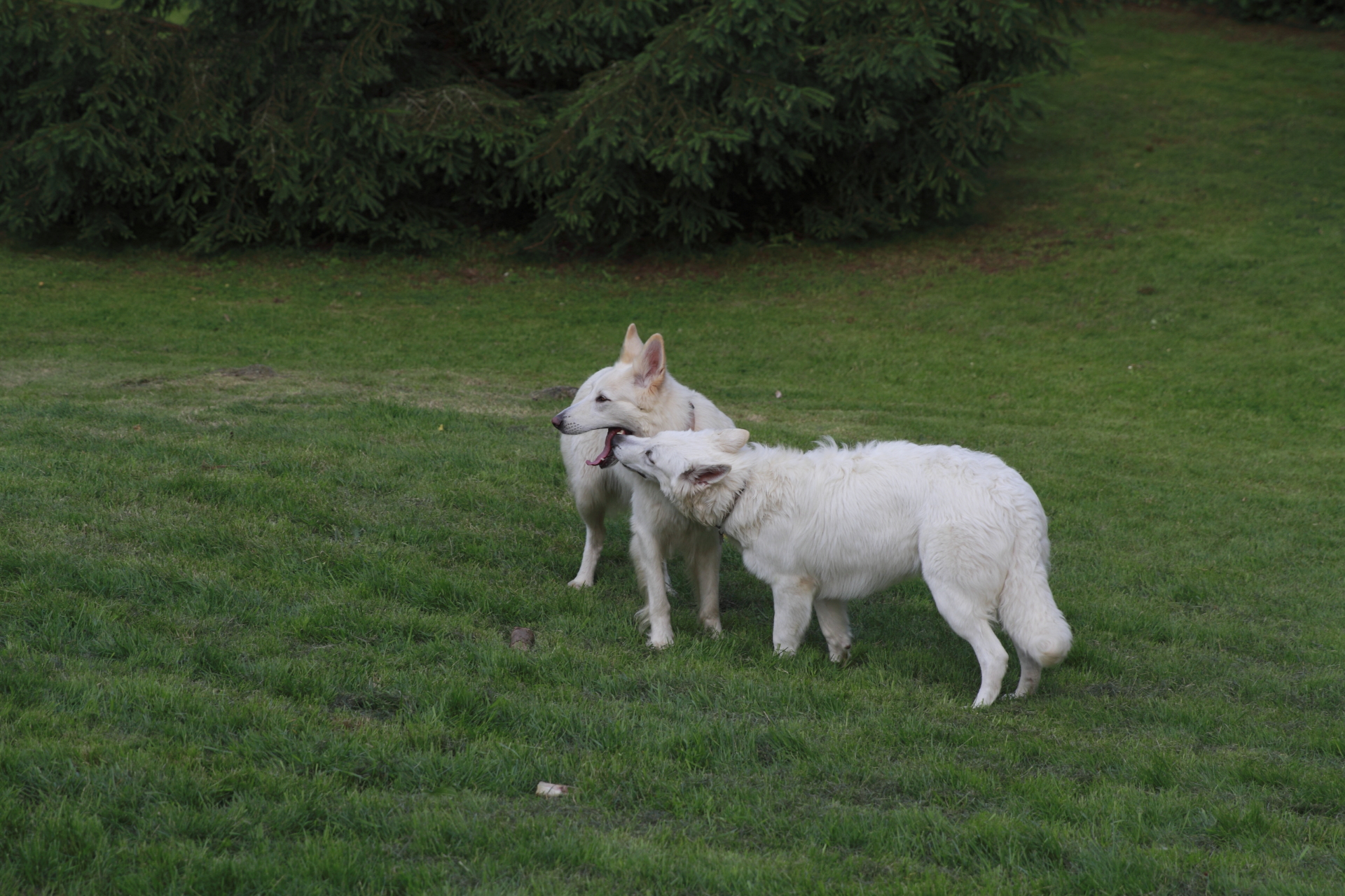 _MG_5430.JPG