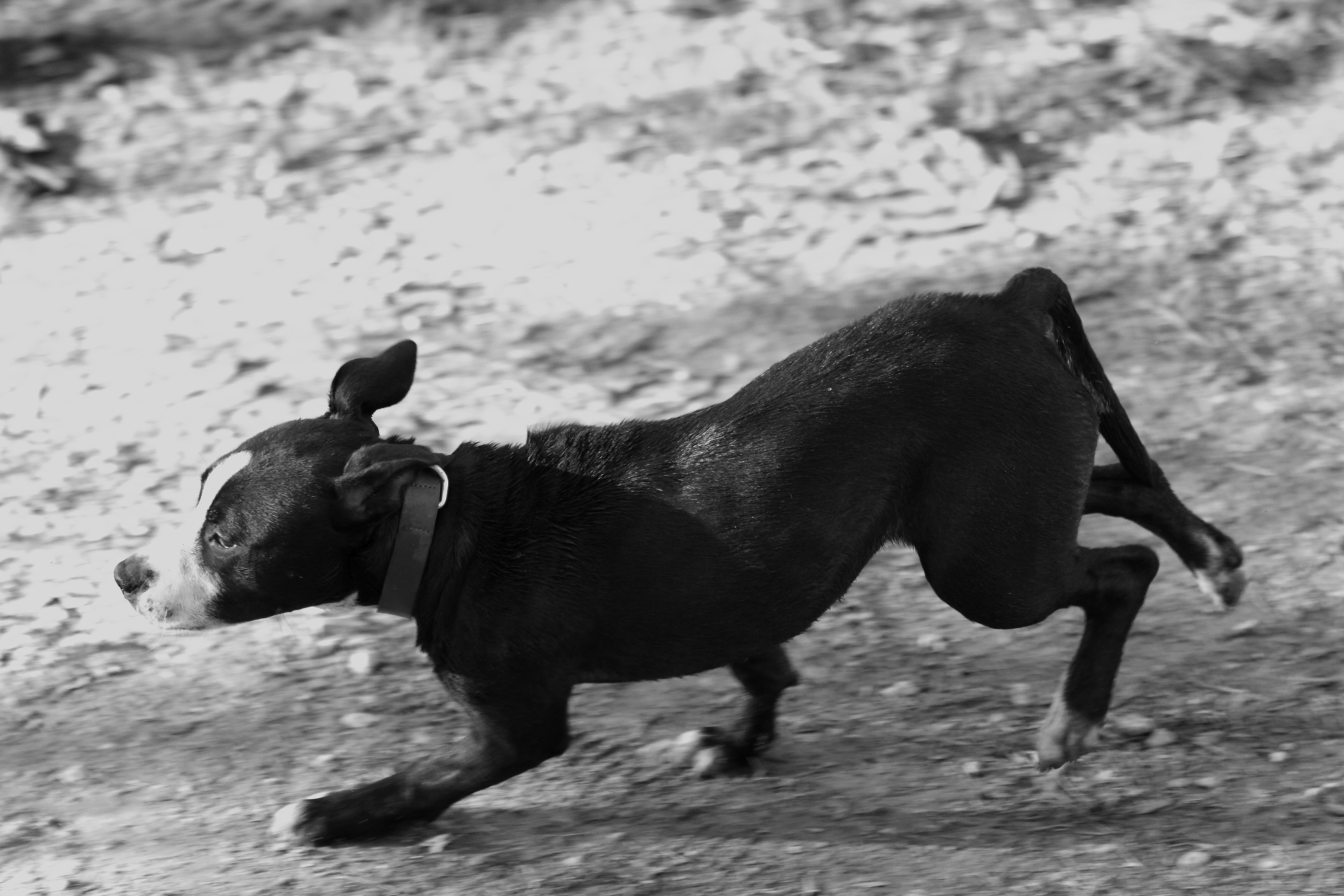 _MG_6876.JPG