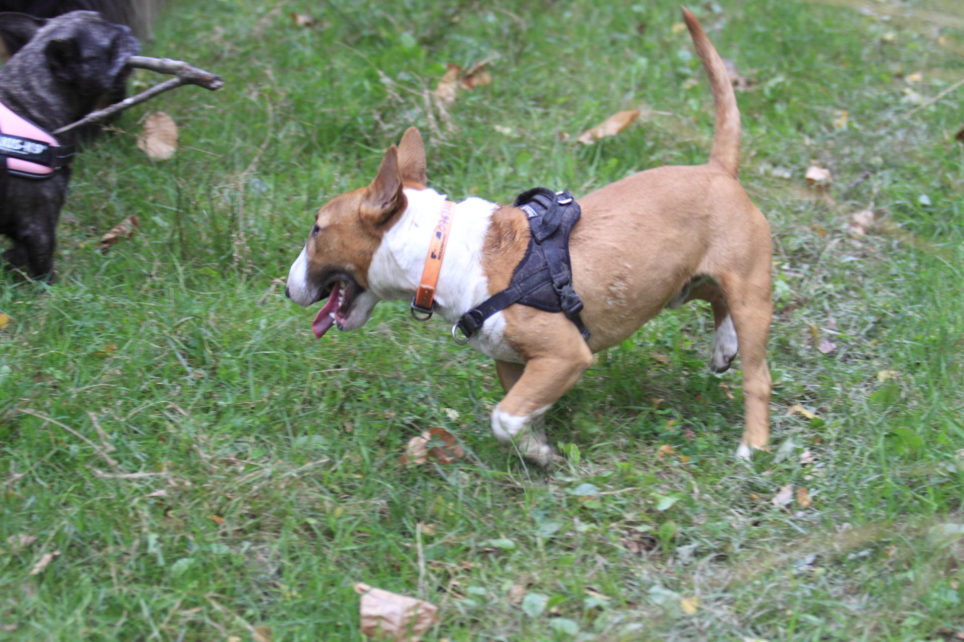 _MG_5768.JPG