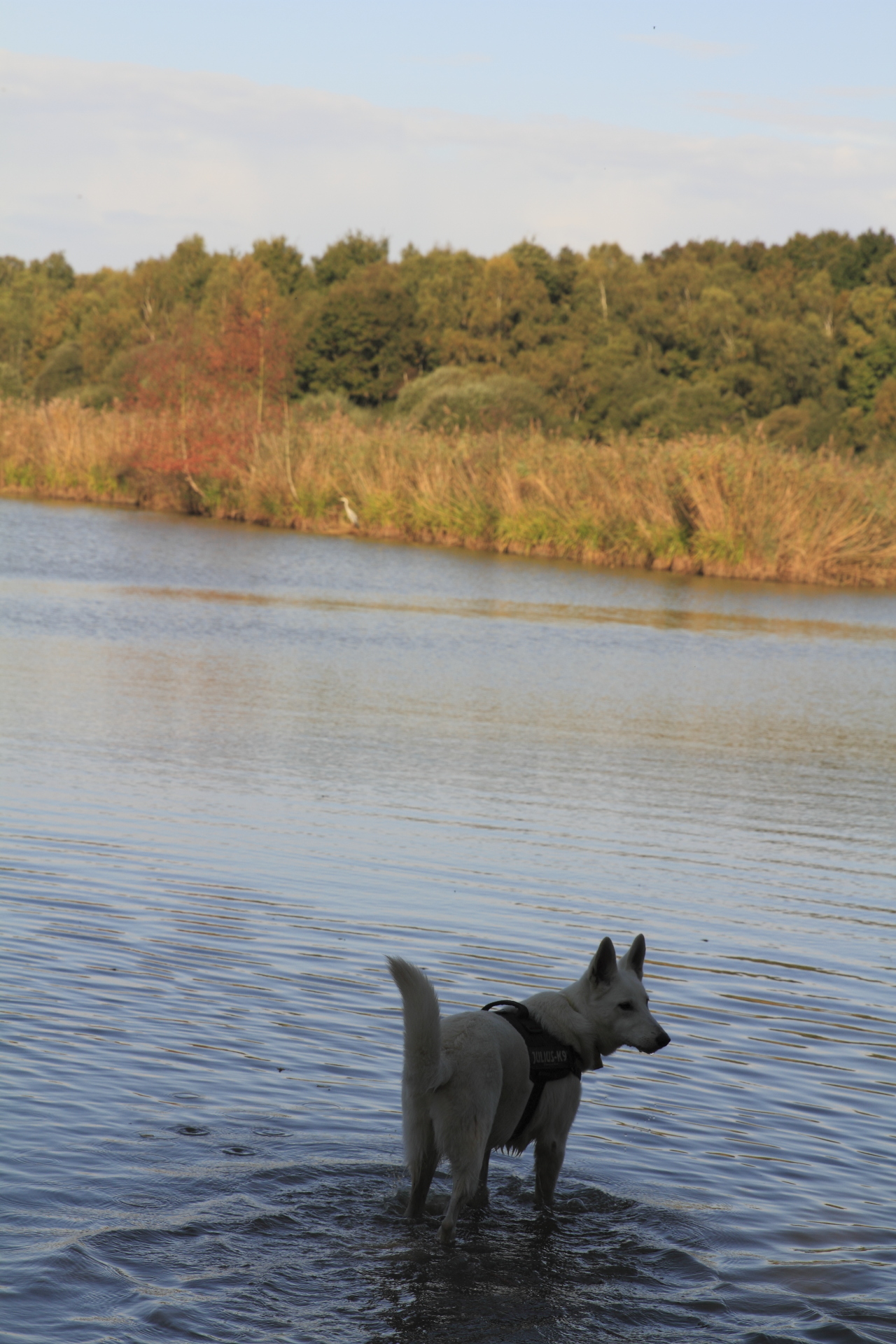 _MG_6188.JPG