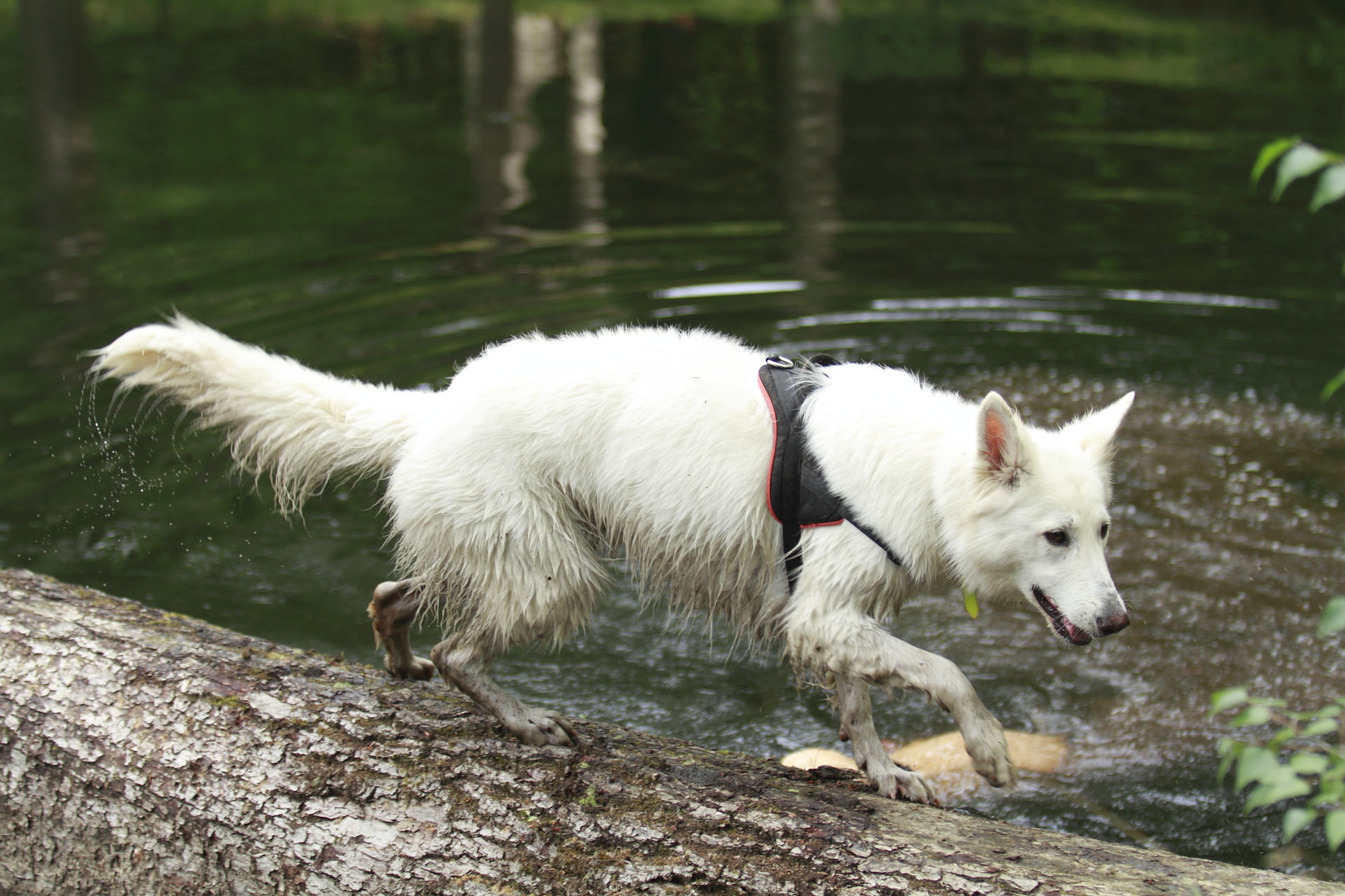_MG_1316.JPG