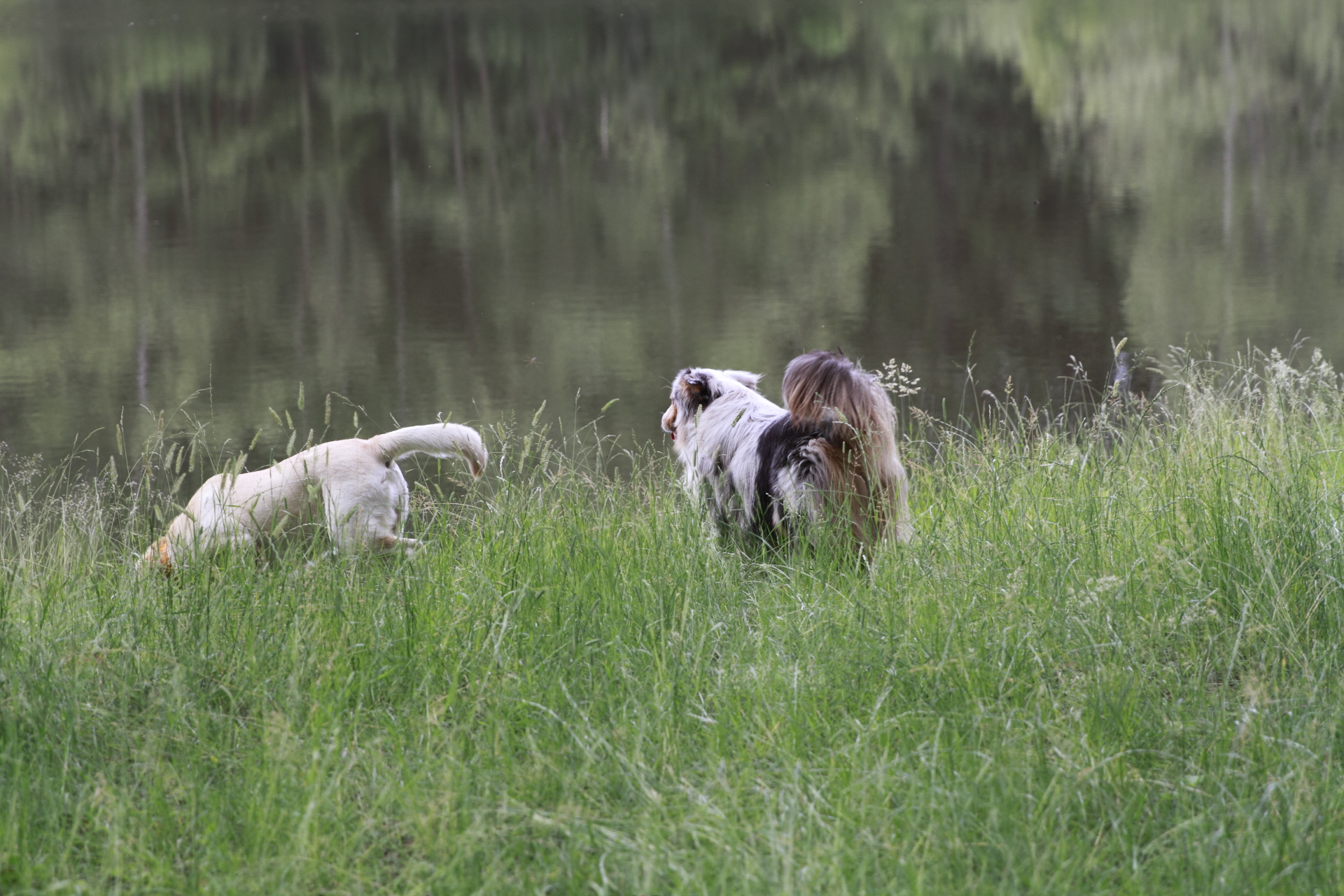 _MG_5260.JPG