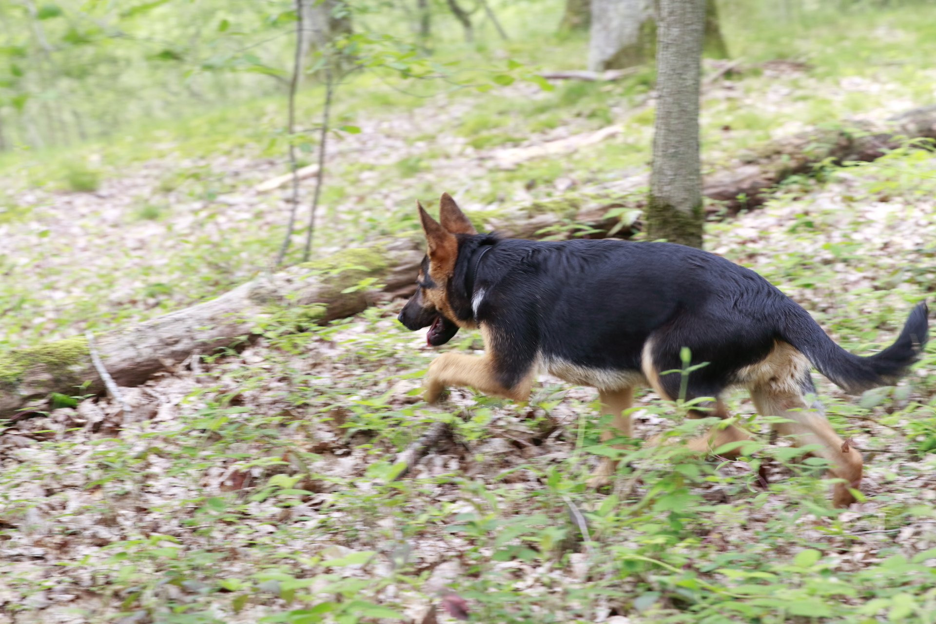_MG_6173.JPG