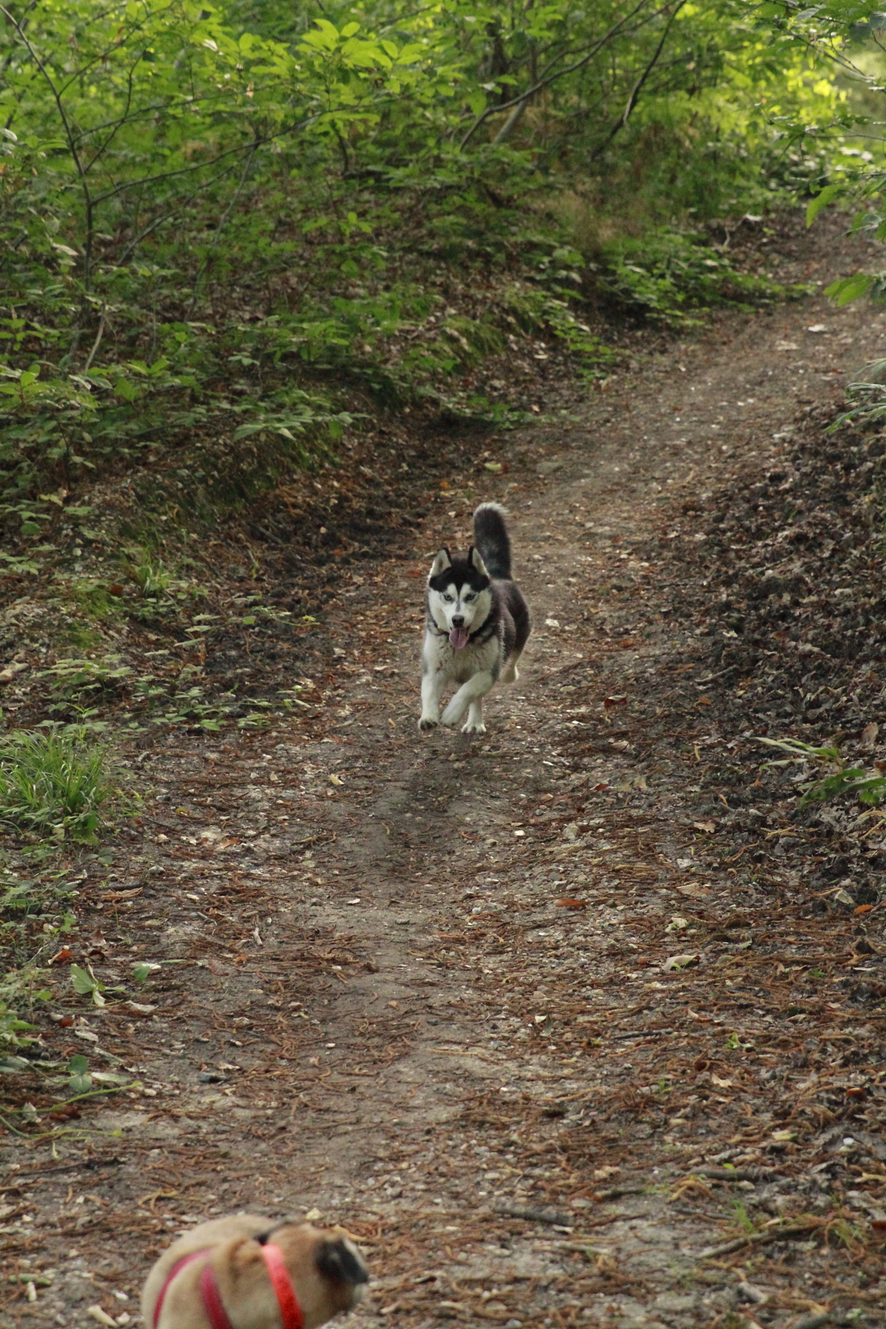 _MG_2463.JPG