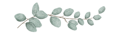 My project (4)_edited_edited.png