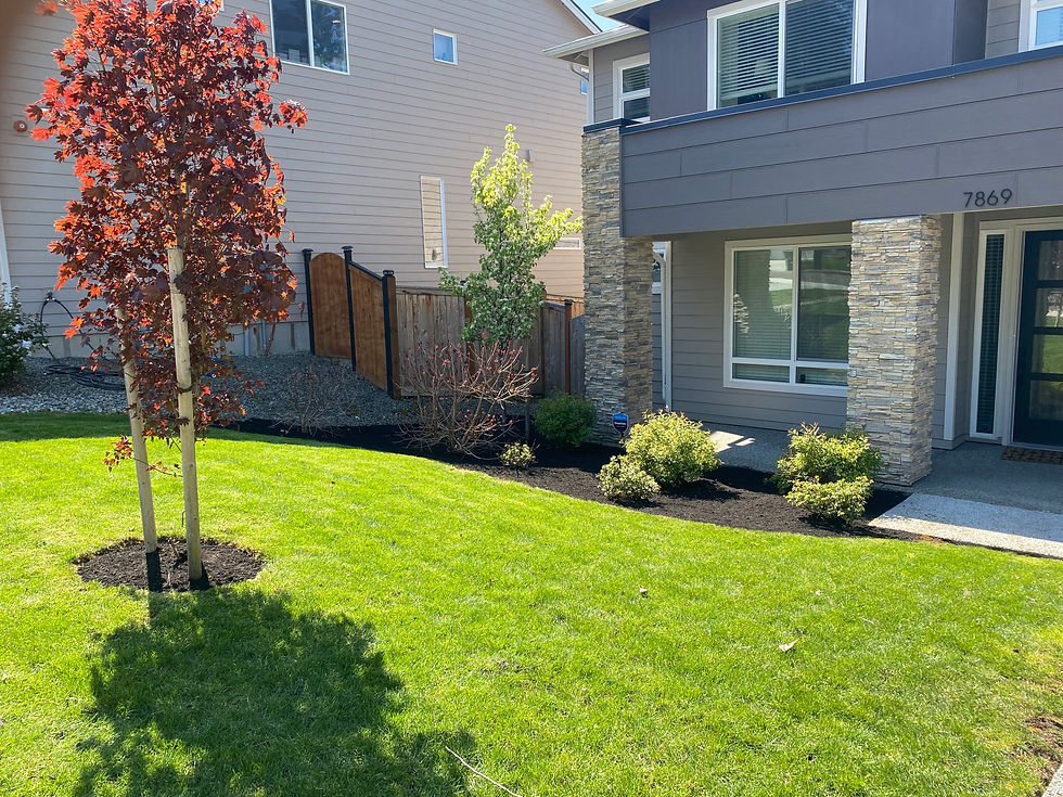 Landscaping Services