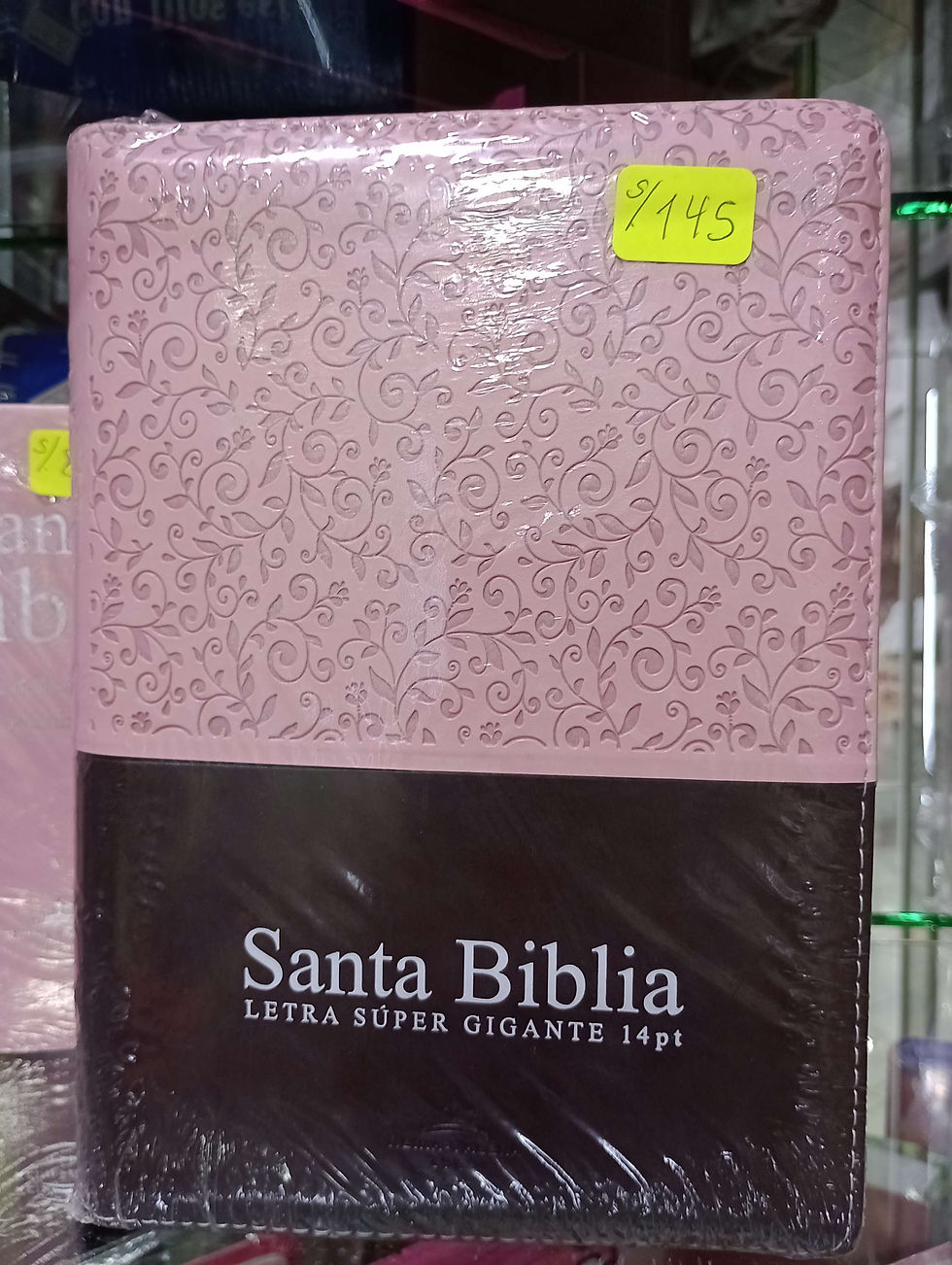 Santa Biblia Reina Valera-1960