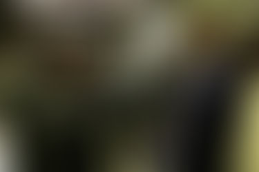 Daniel Freitas assina lista que conduz Eduardo Bolsonaro à liderança do partido na Câmara