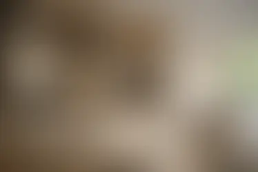 Vestidor abierto con dormitorio de fondo. Tonos neutros