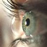 Lins-Auge_kl.jpg