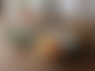 初夏の涼をまとう器たち【3月おすすめ商品】