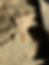 Thumbnail: Original WWII US Army HBT Field Cap – Size 57 cm 