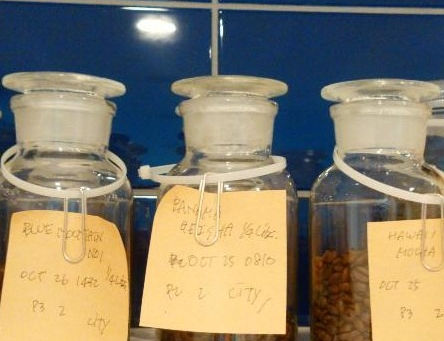 今日は焙煎です