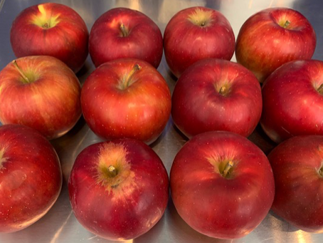 紅玉始まりました!