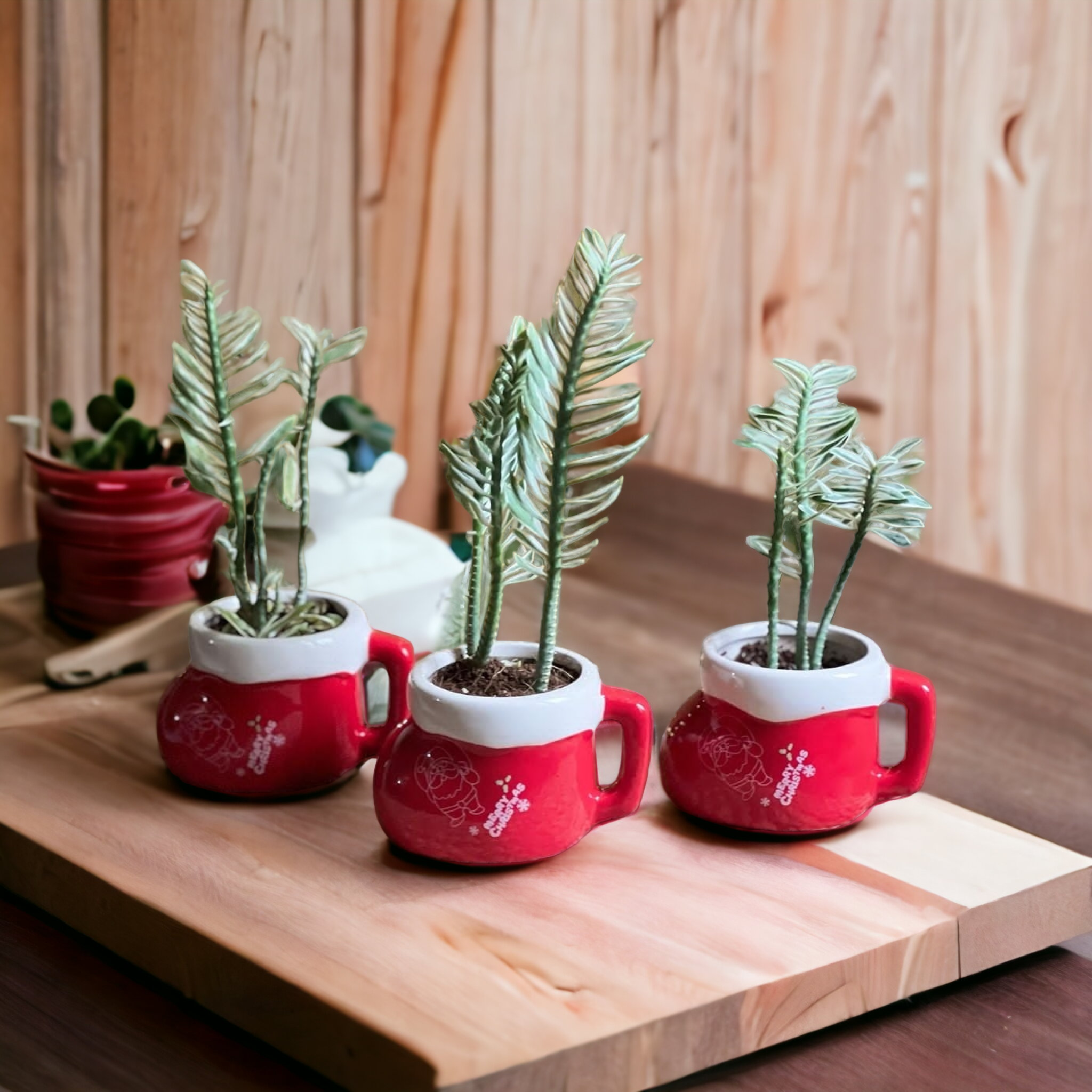 Christmas Planter