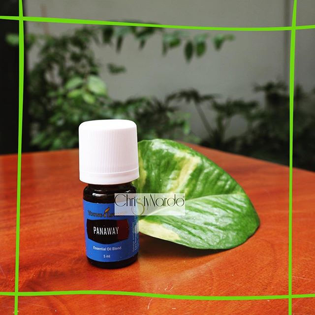YOUNG LIVING PANAWAY 5ML