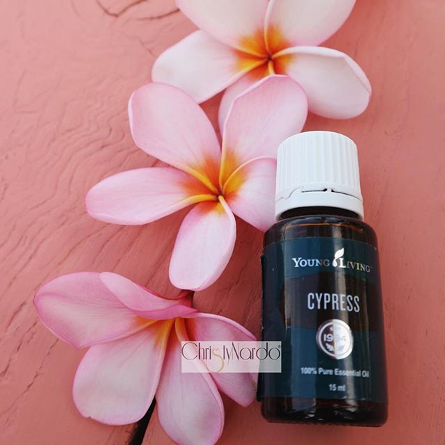 YOUNG LIVING CYPRESS 15ML