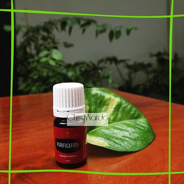 YOUNG LIVING PURIFICATION 5ML