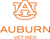cvm_informal_v_outline_orange.png