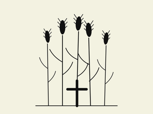 Several pieces of grain with a cross in the middle.