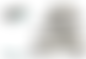 A Story-Time Fairy Tale: Case Studies on Designing Theme Parks with BIM