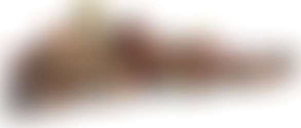 Find Us At Autodesk University 2018