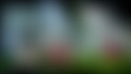 VERAS: Creating Consistency With AI - Render From Same Seed