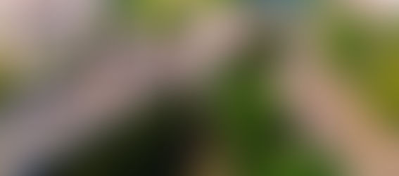 ARTICLE REVIEW: How BIM Is Changing the Face of Infrastructure Design