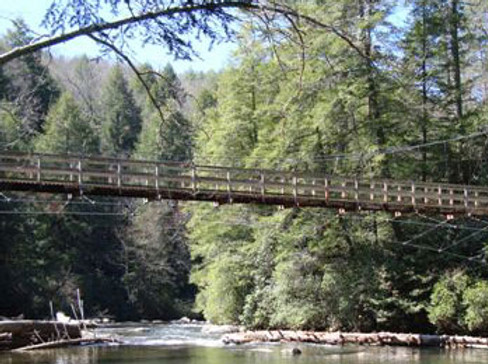 swinging_bridge.jpg